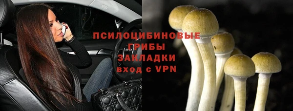 PSILOCYBIN Протвино