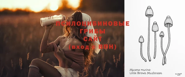 PSILOCYBIN Протвино