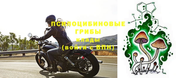 бошки Россошь