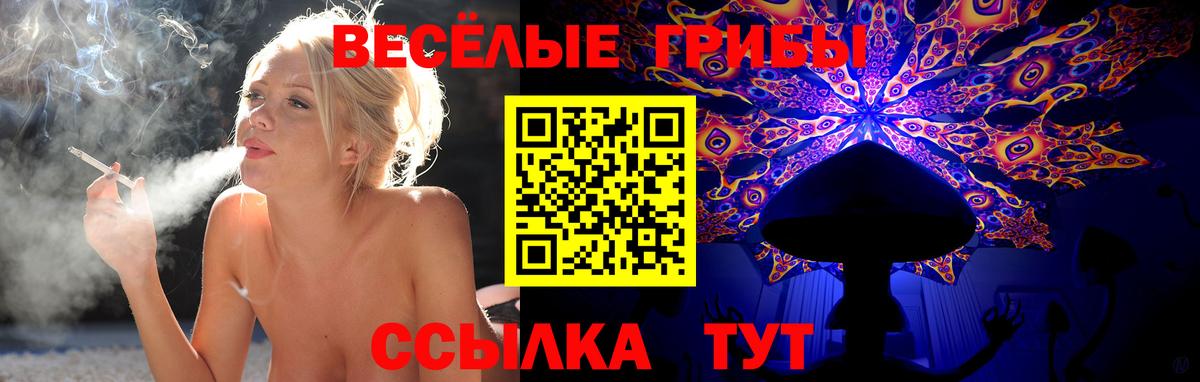 Псилоцибиновые грибы Magic Shrooms Алатырь