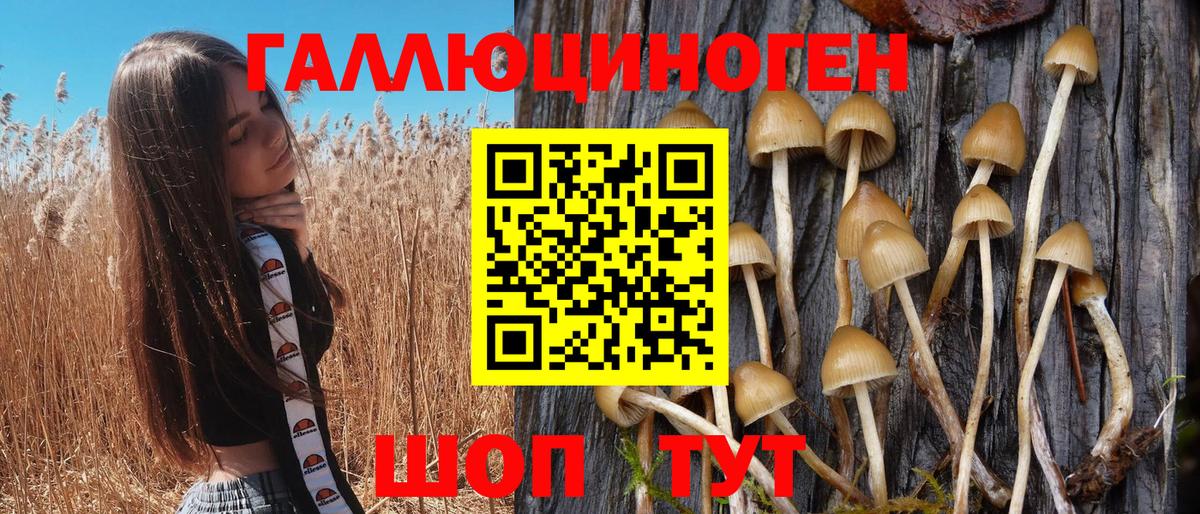Алатырь  Псилоцибиновые грибы мухоморы  Вход с VPN  Псилоцибиновые грибы прущие грибы 