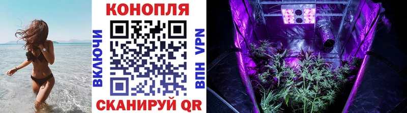 Конопля Amnesia  где можно купить   Алатырь 